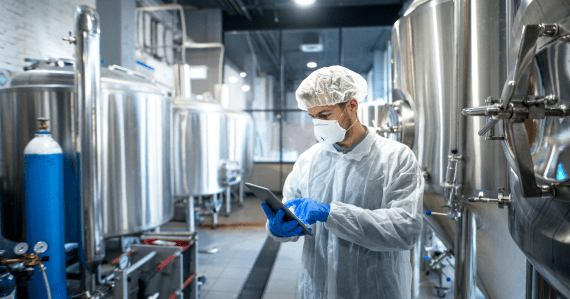 O apoio do IEP na transição energética da indústria alimentar