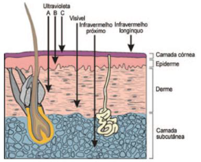 Efeitos das Radiações Óticas sobre o corpo humano