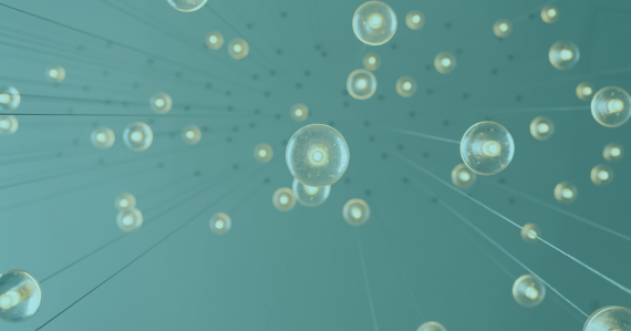 Portugal representado no Market Strategy Board da IEC